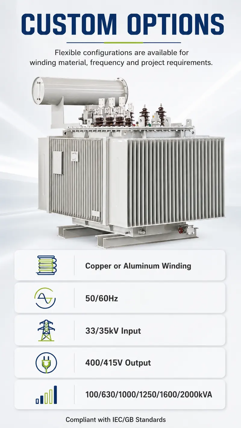 100–2000kVA 33/35kV Three-Phase Oil-Immersed Distribution Transformer — customisation options
