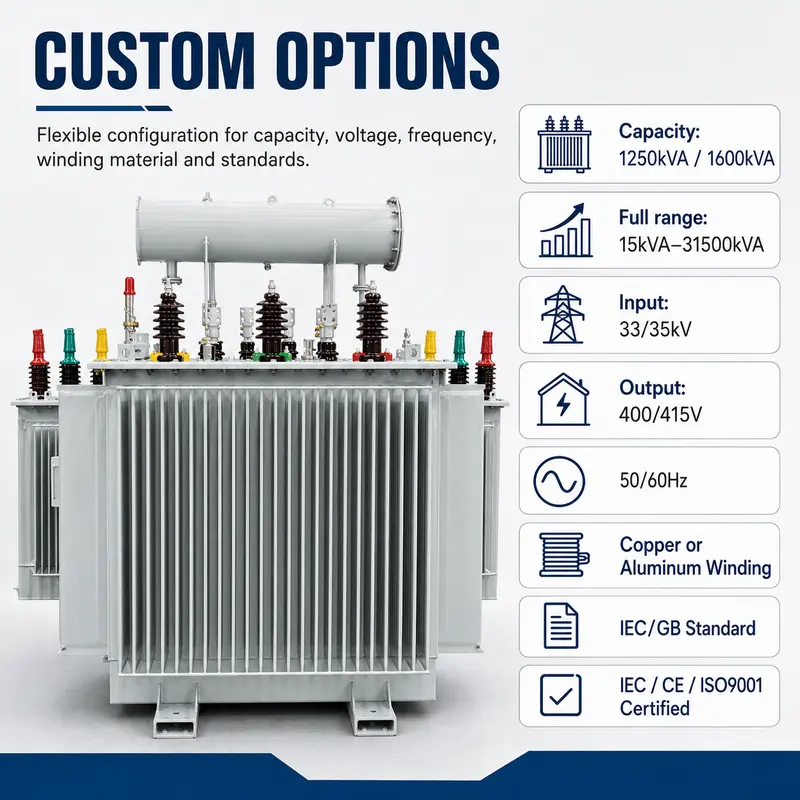 33kV 1250kVA & 1600kVA Three-Phase Outdoor Oil-Immersed Power Transformer (Copper) — customisation options